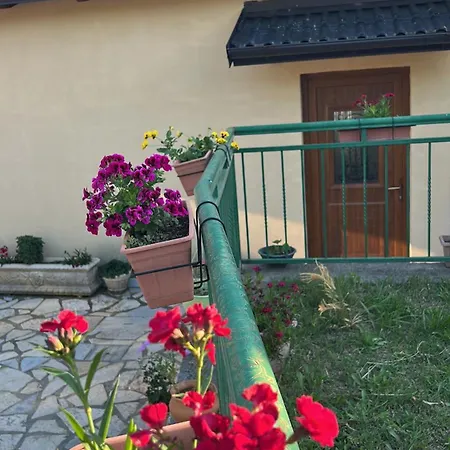 Hani I Leks Agroturizem Hotel Lezhë